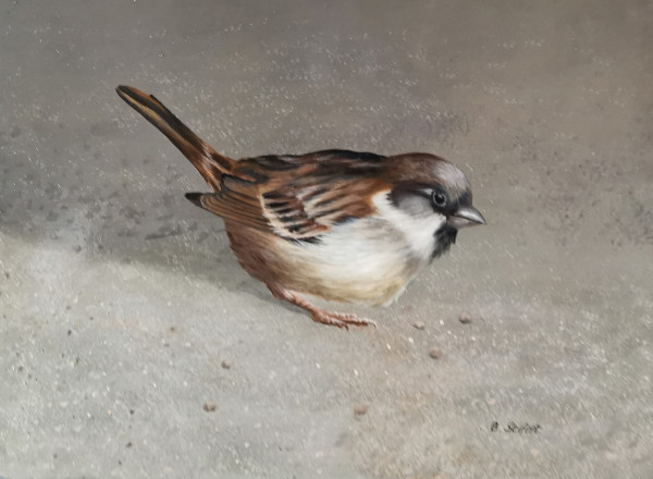 Kleine Mus