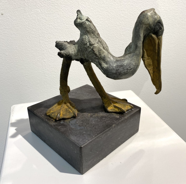 Pelikaan Chris Gadiot
