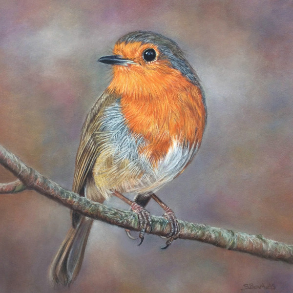 Evening song