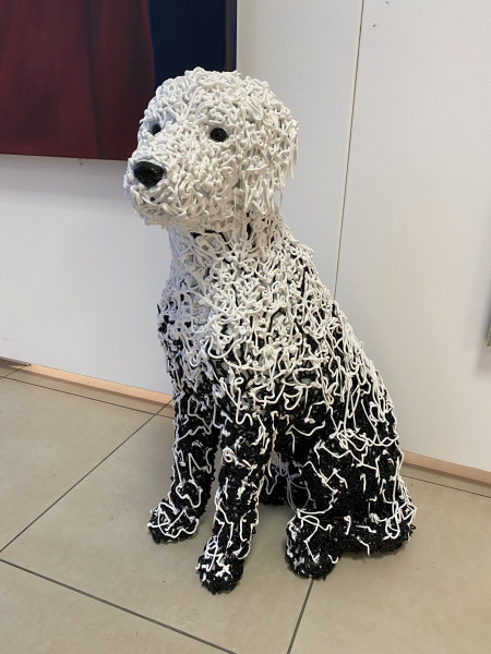 Spaghetti hond