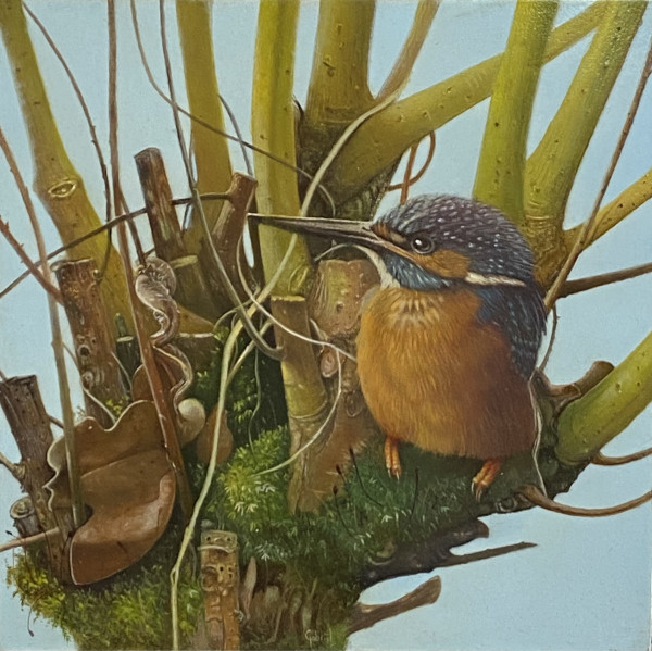 Ijsvogel