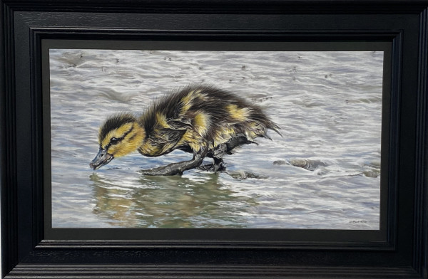 Duckling
